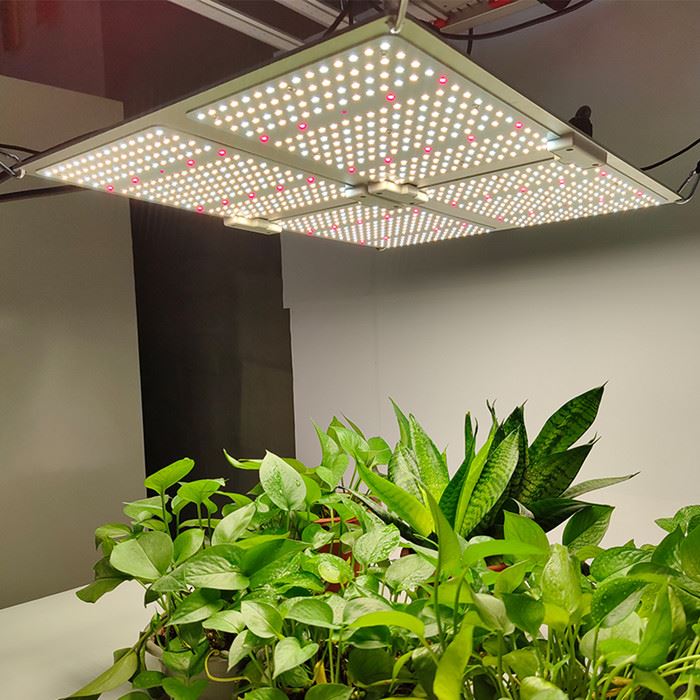 industrial plant growth lighting