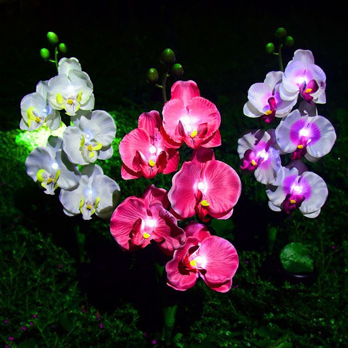 Led Solar Phalaenopsis